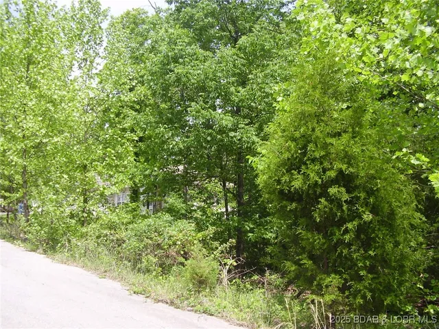 $15,000 | 19 Silver Spur Court, Camdenton, MO 65020