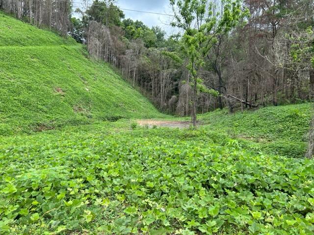 Archer Road Luttrell, TN 37779 - Photo 2 of 4 IMG_3376