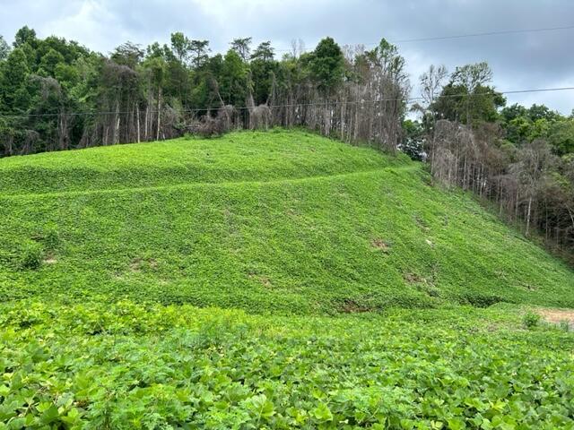 Archer Road Luttrell, TN 37779 - Photo 3 of 4 IMG_3377