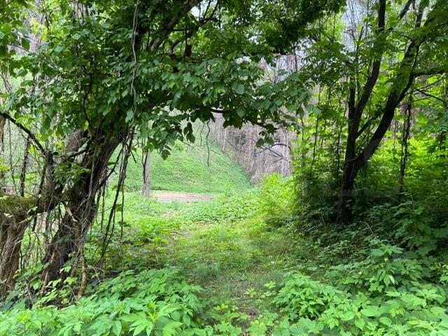 Archer Road Luttrell, TN 37779 - Photo 4 of 4 IMG_3378