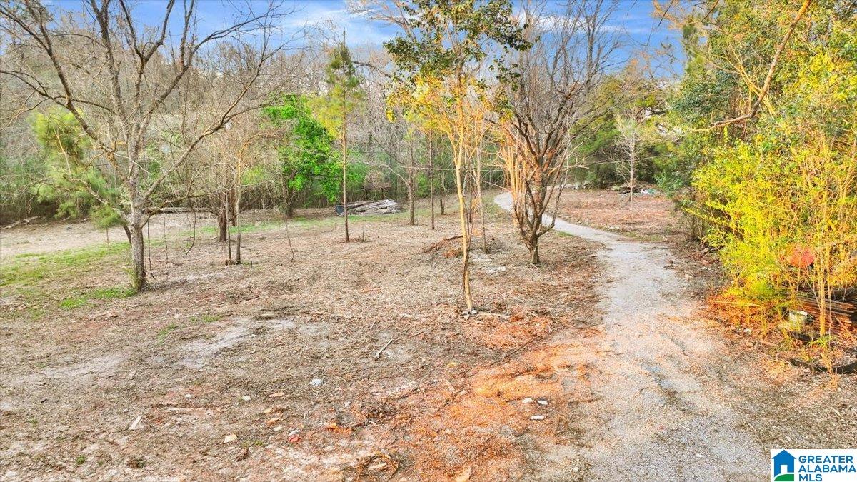 248 Jones Road, Unit 1 Montevallo, AL 35115 - Photo 3 of 6