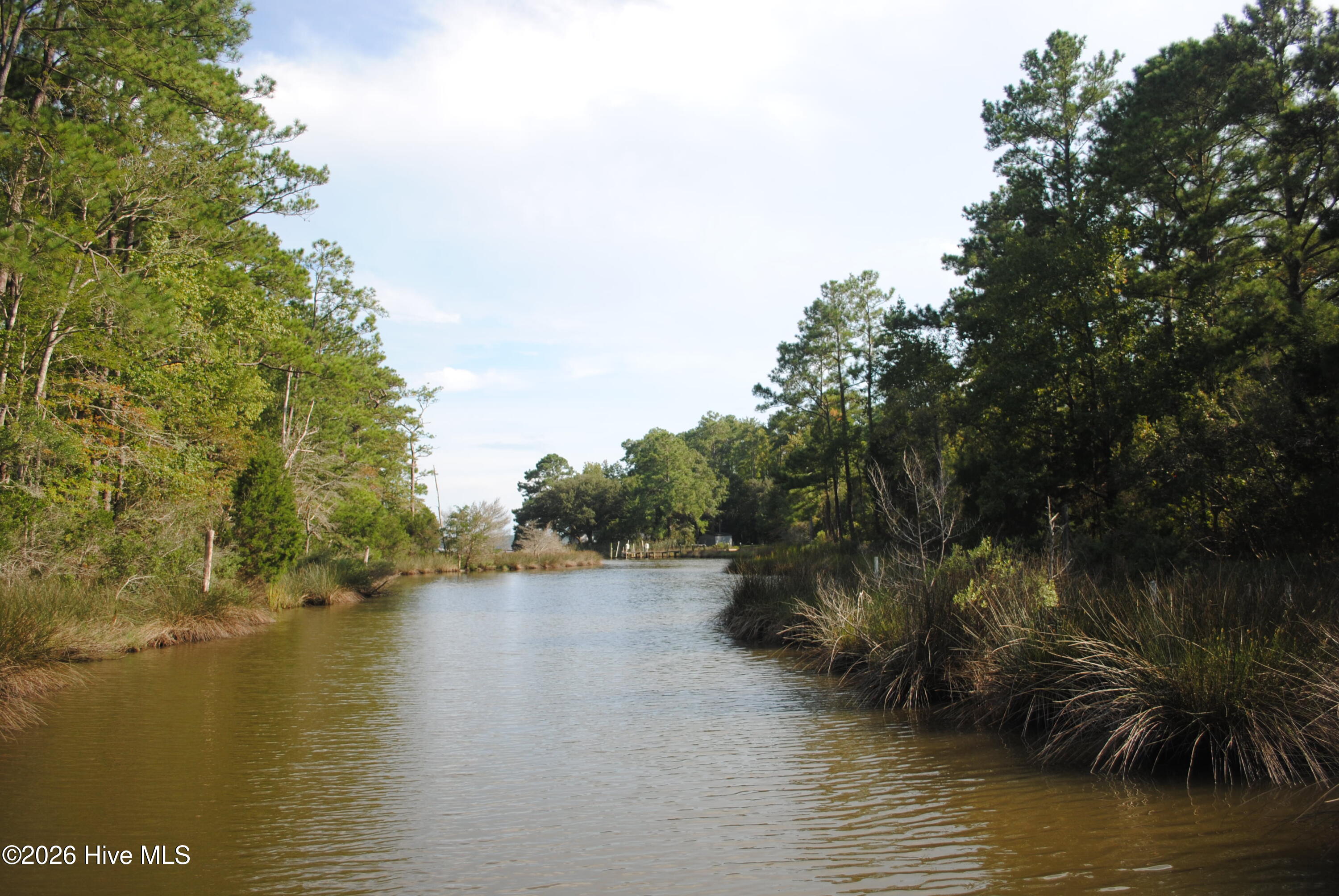 1402 Lynchs Beach Loop Road Bayboro, NC 28515 - Photo 22 of 30 Gallery Image 22