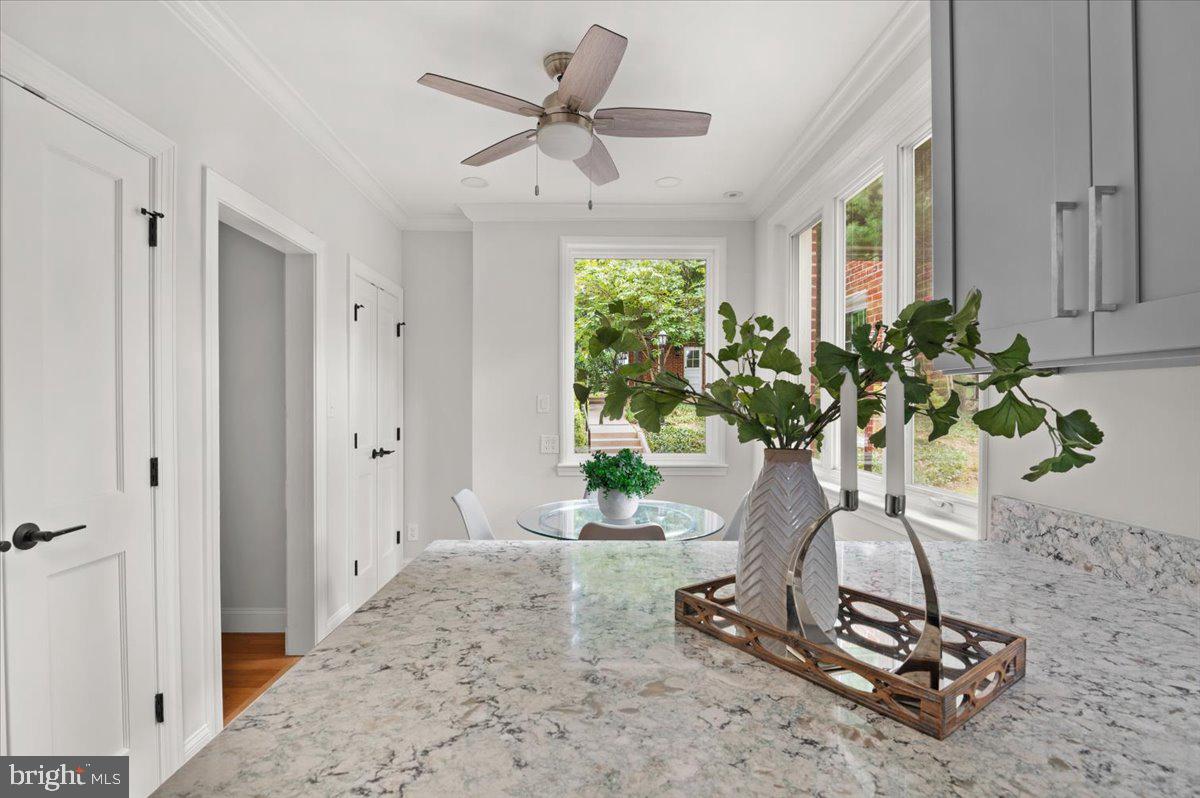 9214 Crosby Road Silver Spring, MD 20910 - Photo 27 of 65 a view of a vase of flowers