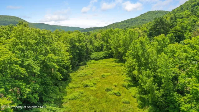 a view of a green field with lots of bushes