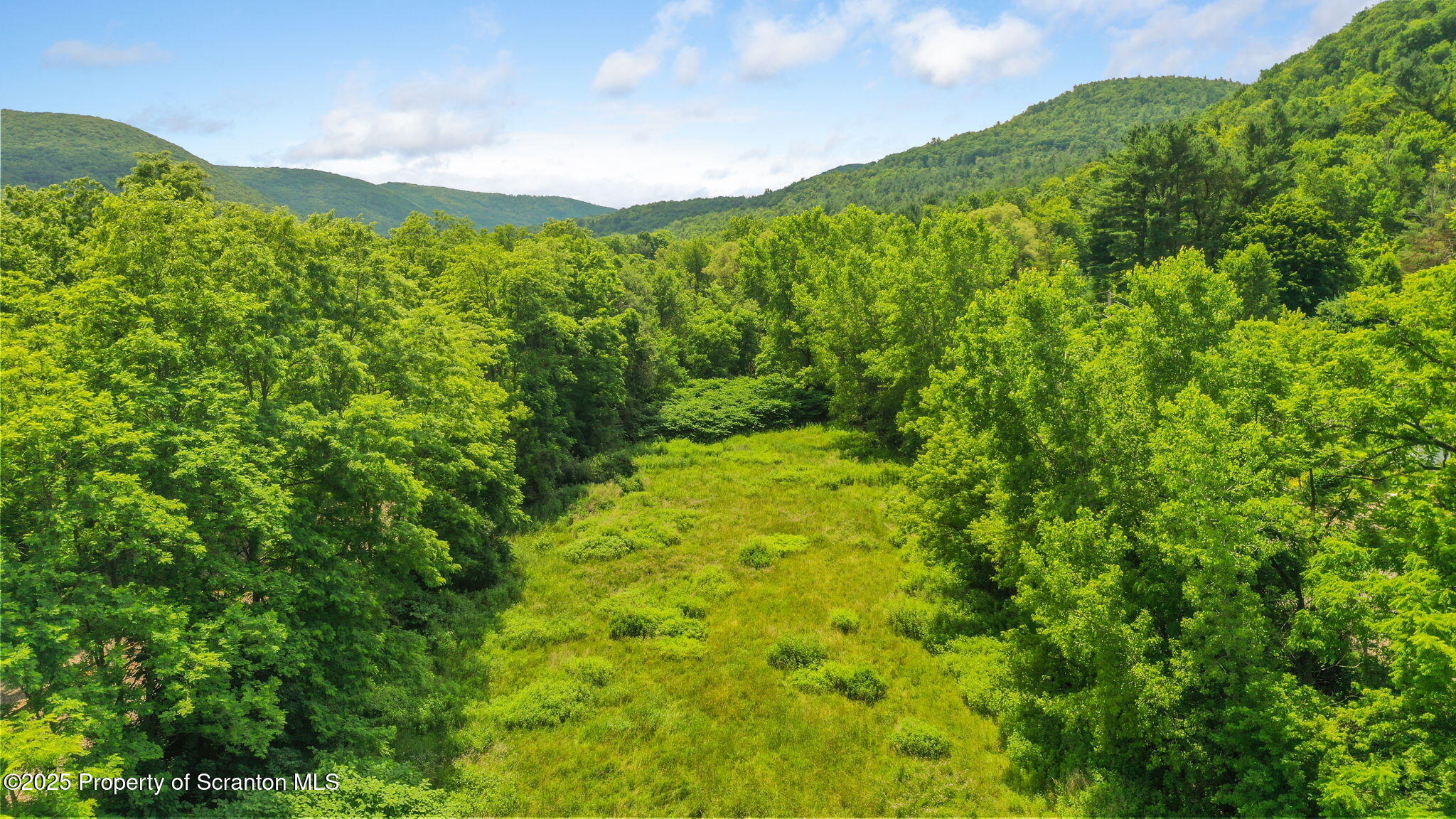 Railroad Avenue Hallstead, PA 18822 - Photo 11 of 11 a view of a green field with lots of bushes