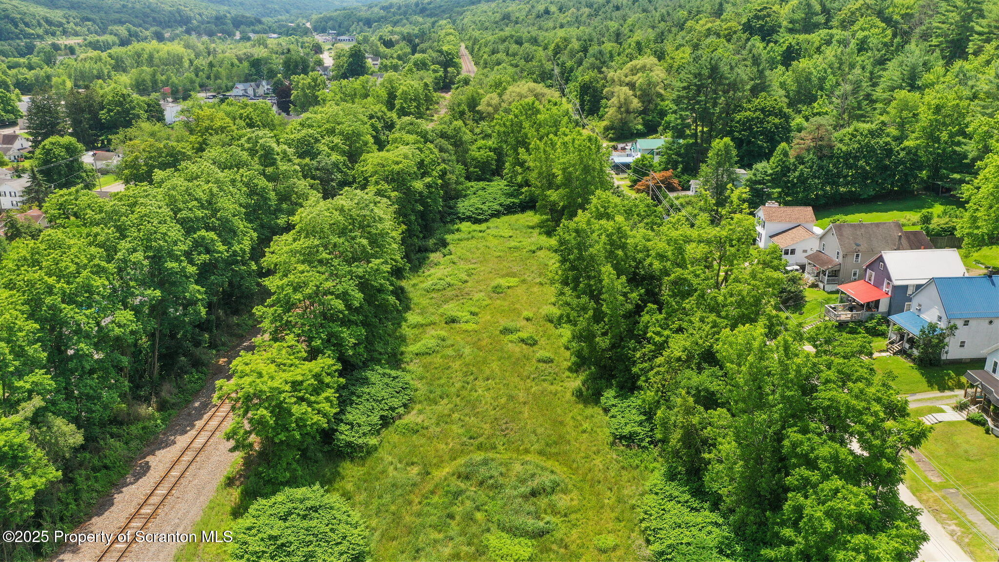 Railroad Avenue Hallstead, PA 18822 - Photo 4 of 11 a view of a garden with plants