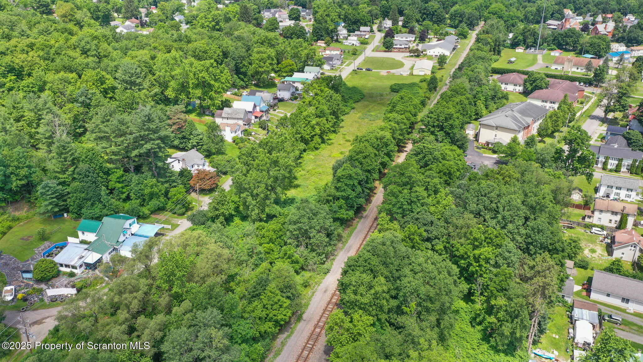 Railroad Avenue Hallstead, PA 18822 - Photo 9 of 11 a view of a garden with plants