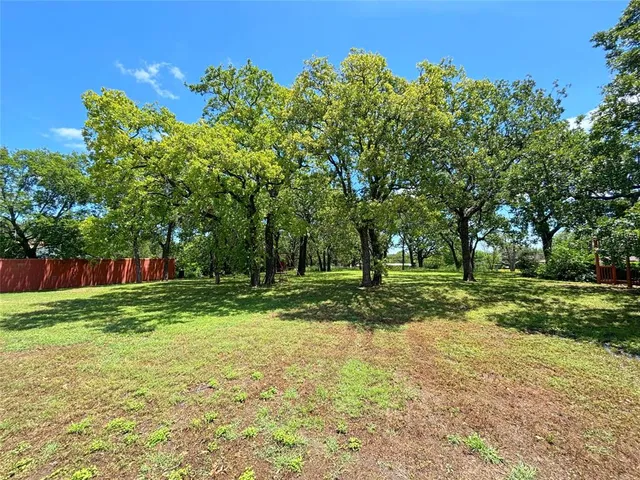 a view of a backyard with trees