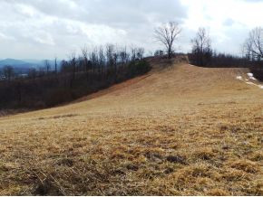 4 Oak Grove Road Bristol, VA 24202 - Photo 10 of 24 Photo 10