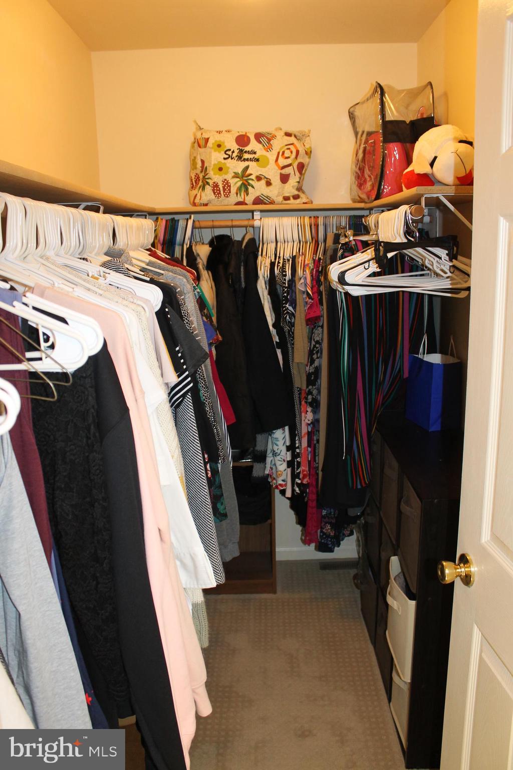 144 Forest Line Road Easton, PA 18045 - Photo 13 of 45 Walk-In Closet Owner Suite