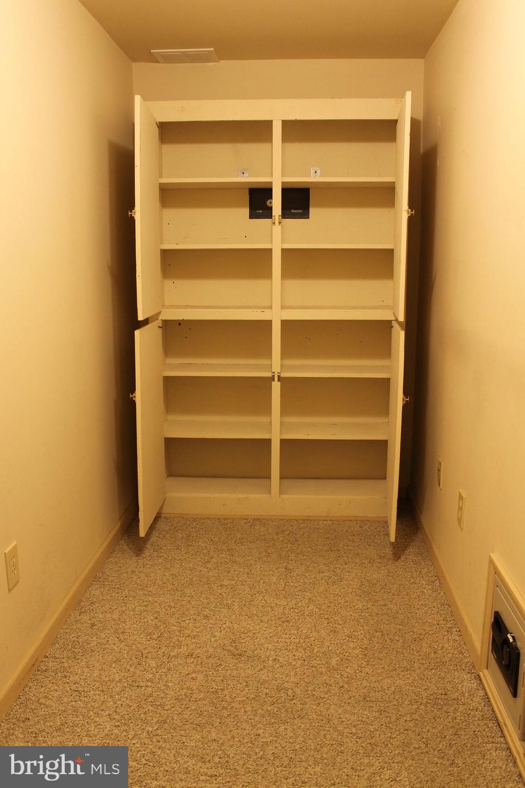 144 Forest Line Road Easton, PA 18045 - Photo 22 of 45 Basement storage closet