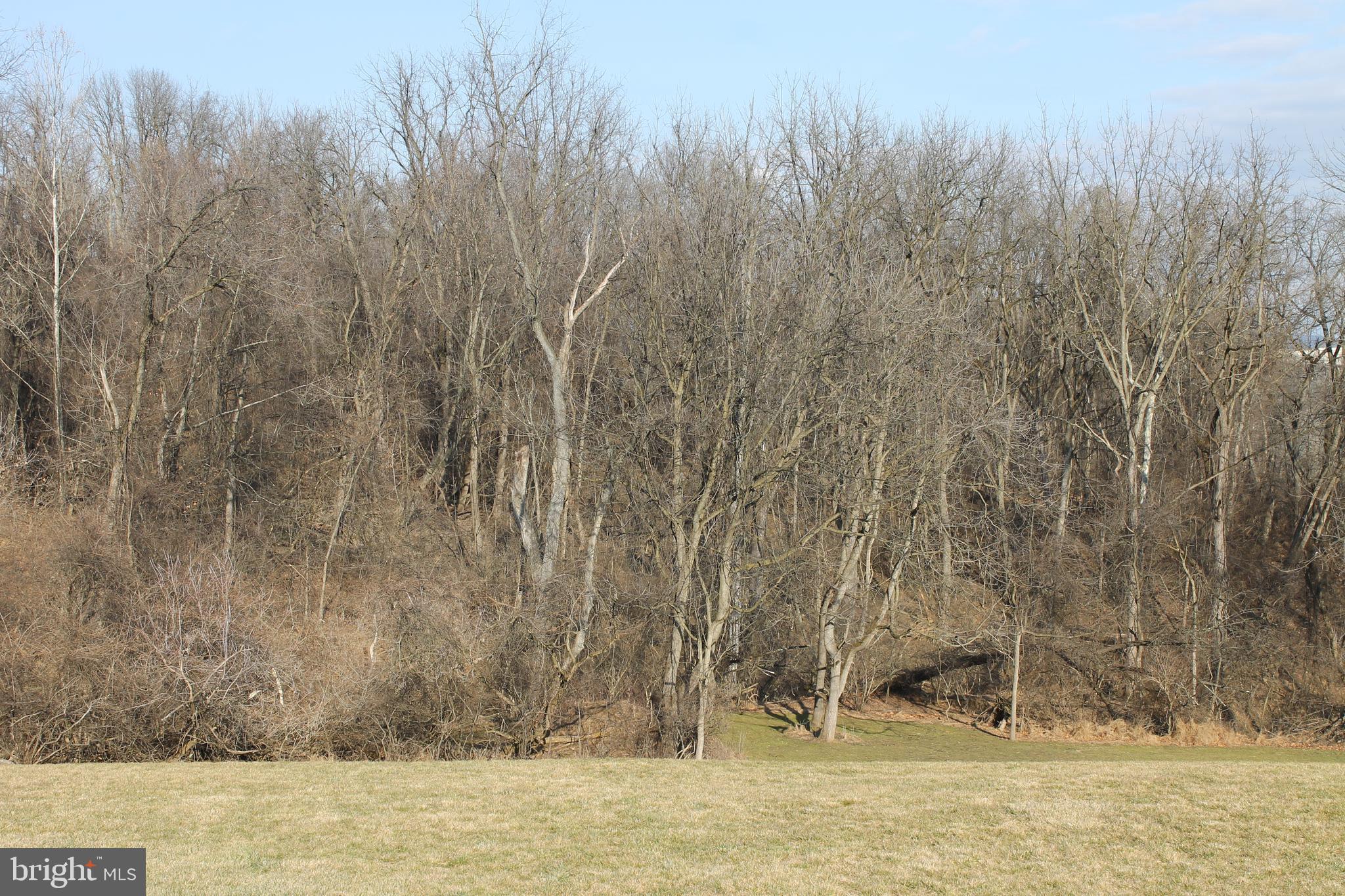 144 Forest Line Road Easton, PA 18045 - Photo 34 of 45 Backyard leading to woods