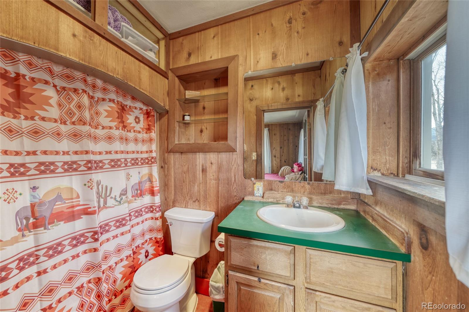1335 F Street Salida, CO 81201 - Photo 17 of 44 a bathroom with a sink a toilet and mirror