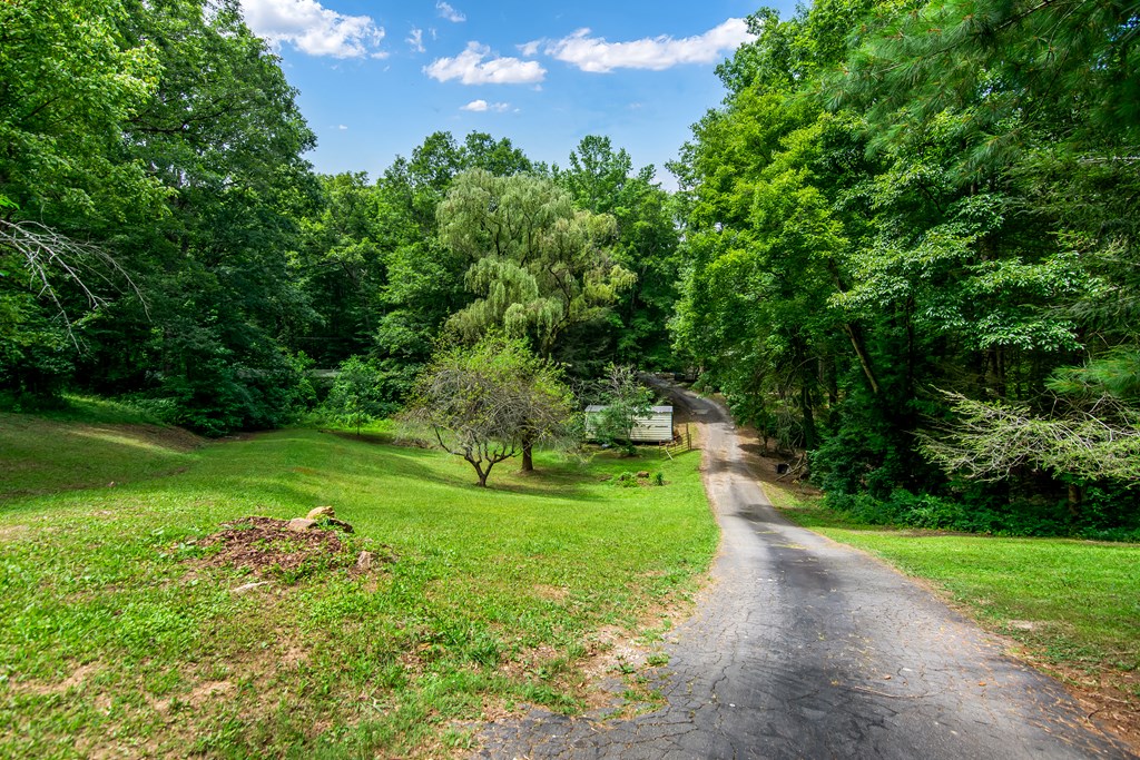 1459 Ray Mountain Road Ellijay, GA 30536 - Photo 2 of 47 Gallery Image 2