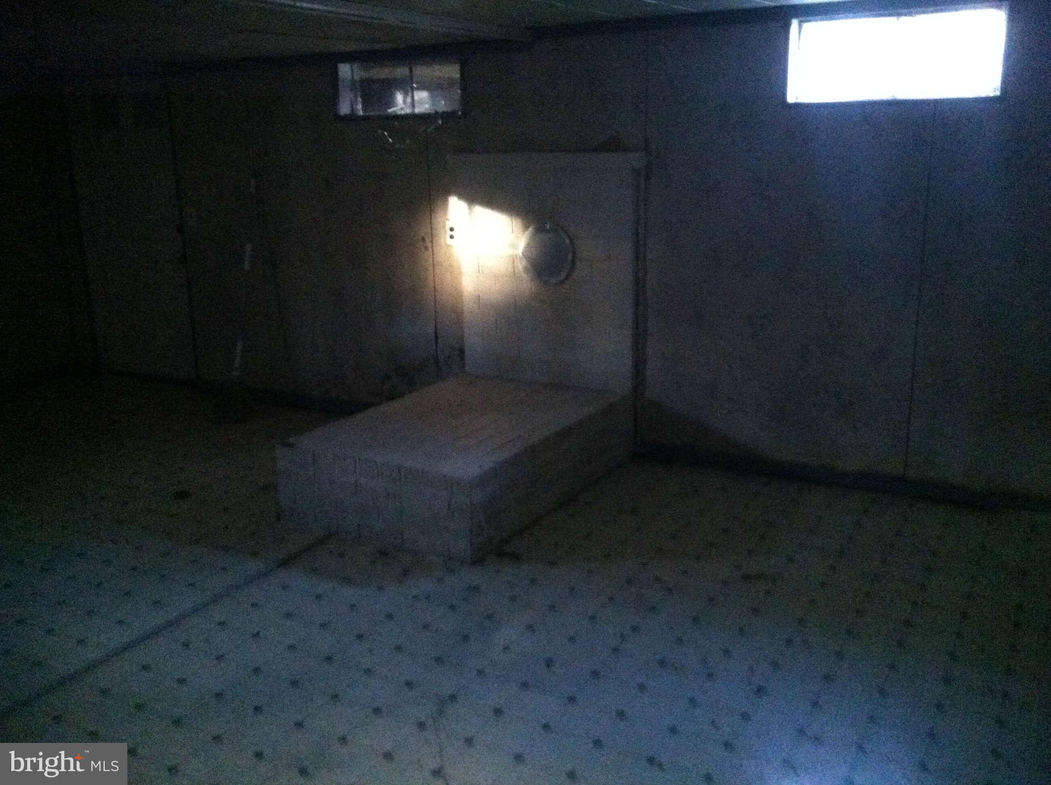 1223 Torytown Road Bunker Hill, WV 25413 - Photo 8 of 10 Basement
