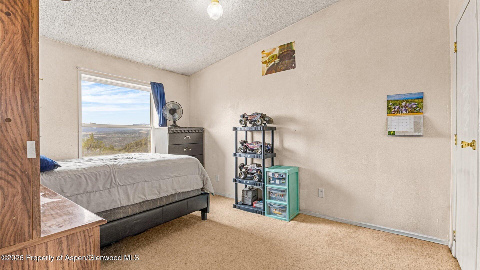 2055 Grass Mesa Road Rifle, CO 81650 - Photo 14 of 27 18-2055 Grass Mesa Rd-18