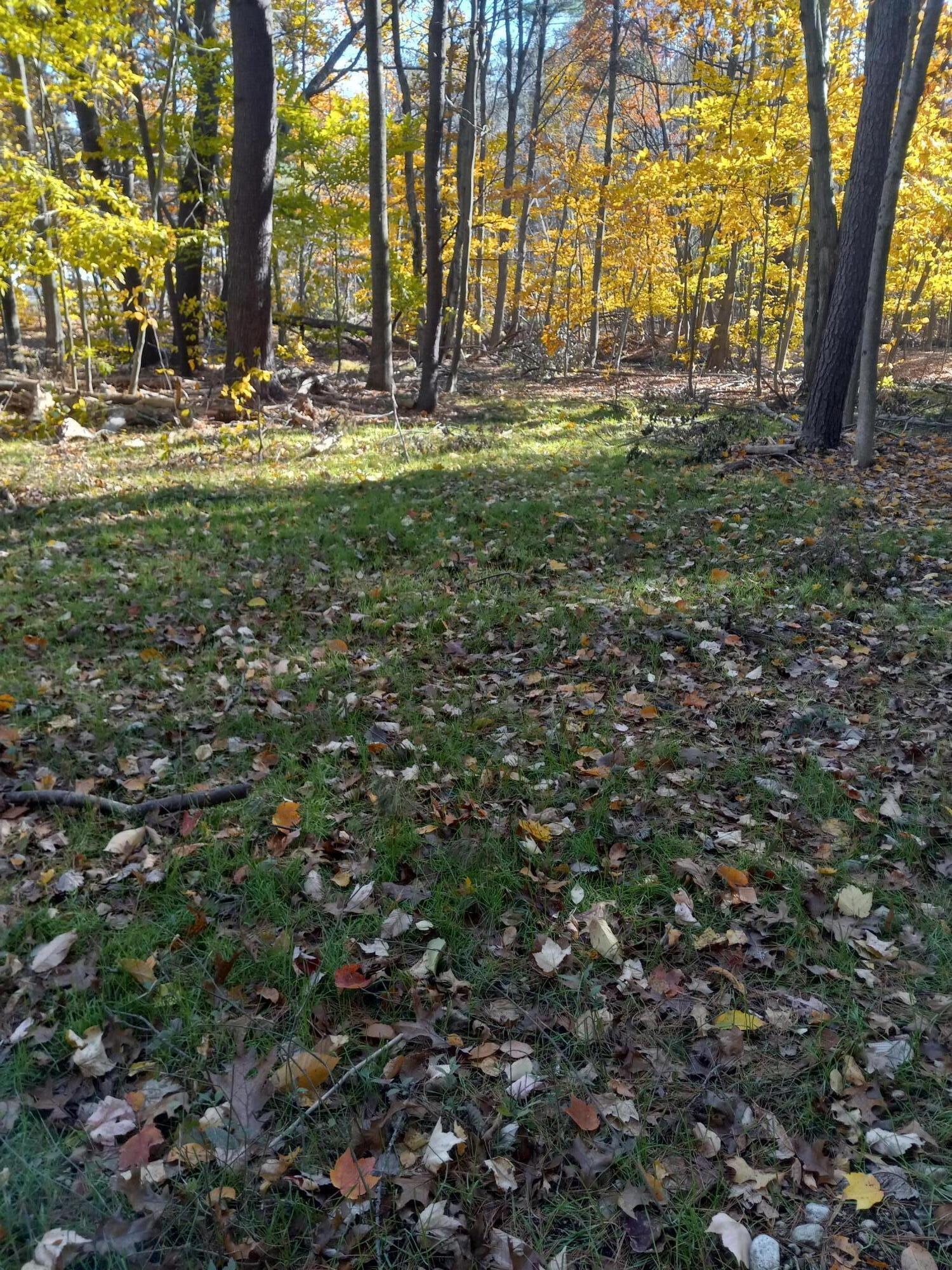 0 Berwick Road Sanford, ME 04073 - Photo 2 of 4 20211104_124845