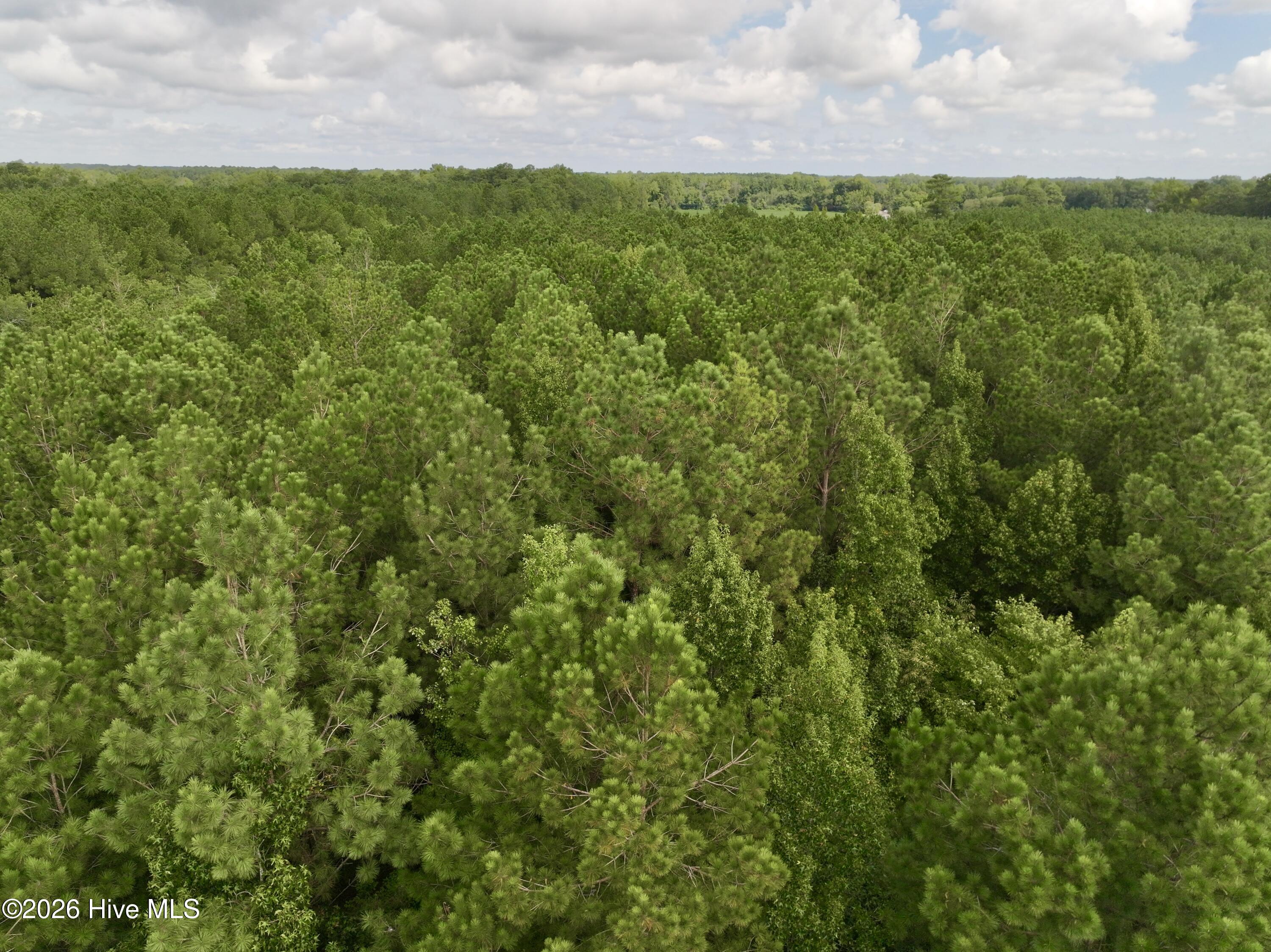 4 Cupelo Road Walstonburg, NC 27888 - Photo 13 of 16 Gallery Image 13