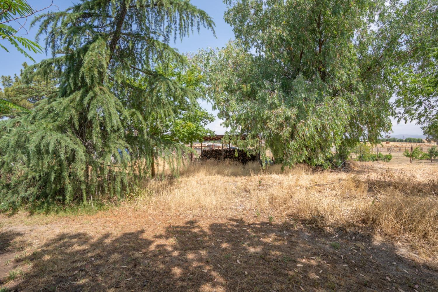 17211 Benecia Road Madera, CA 93636 - Photo 12 of 41 Gallery Image 12