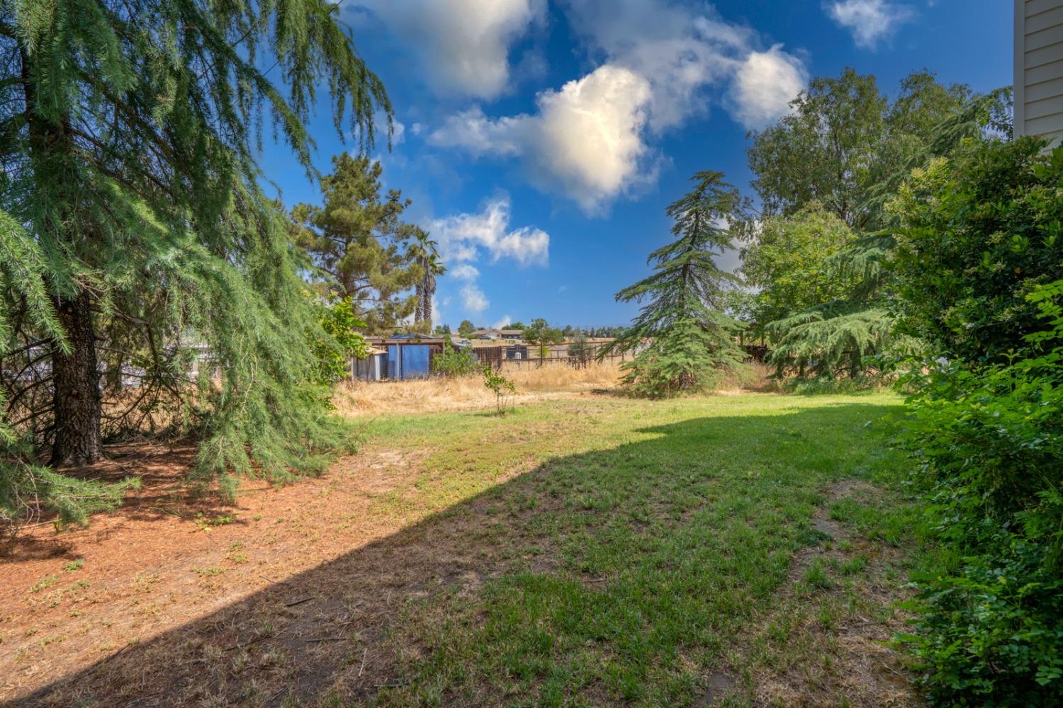 17211 Benecia Road Madera, CA 93636 - Photo 15 of 41 Gallery Image 15