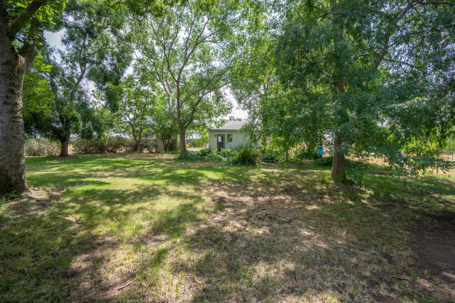 17211 Benecia Road Madera, CA 93636 - Photo 6 of 41 Gallery Image 6