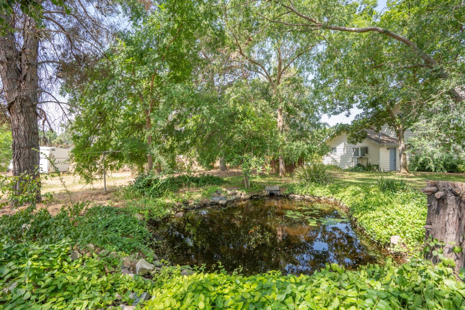 17211 Benecia Road Madera, CA 93636 - Photo 7 of 41 Gallery Image 7