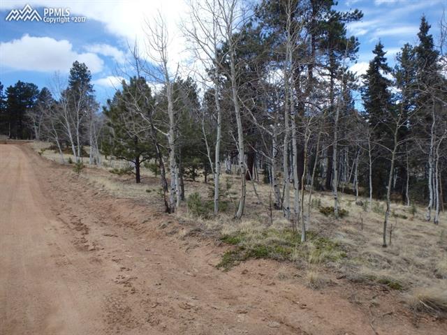99 Ryolite Road Florissant, CO 80816 - Photo 34 of 36