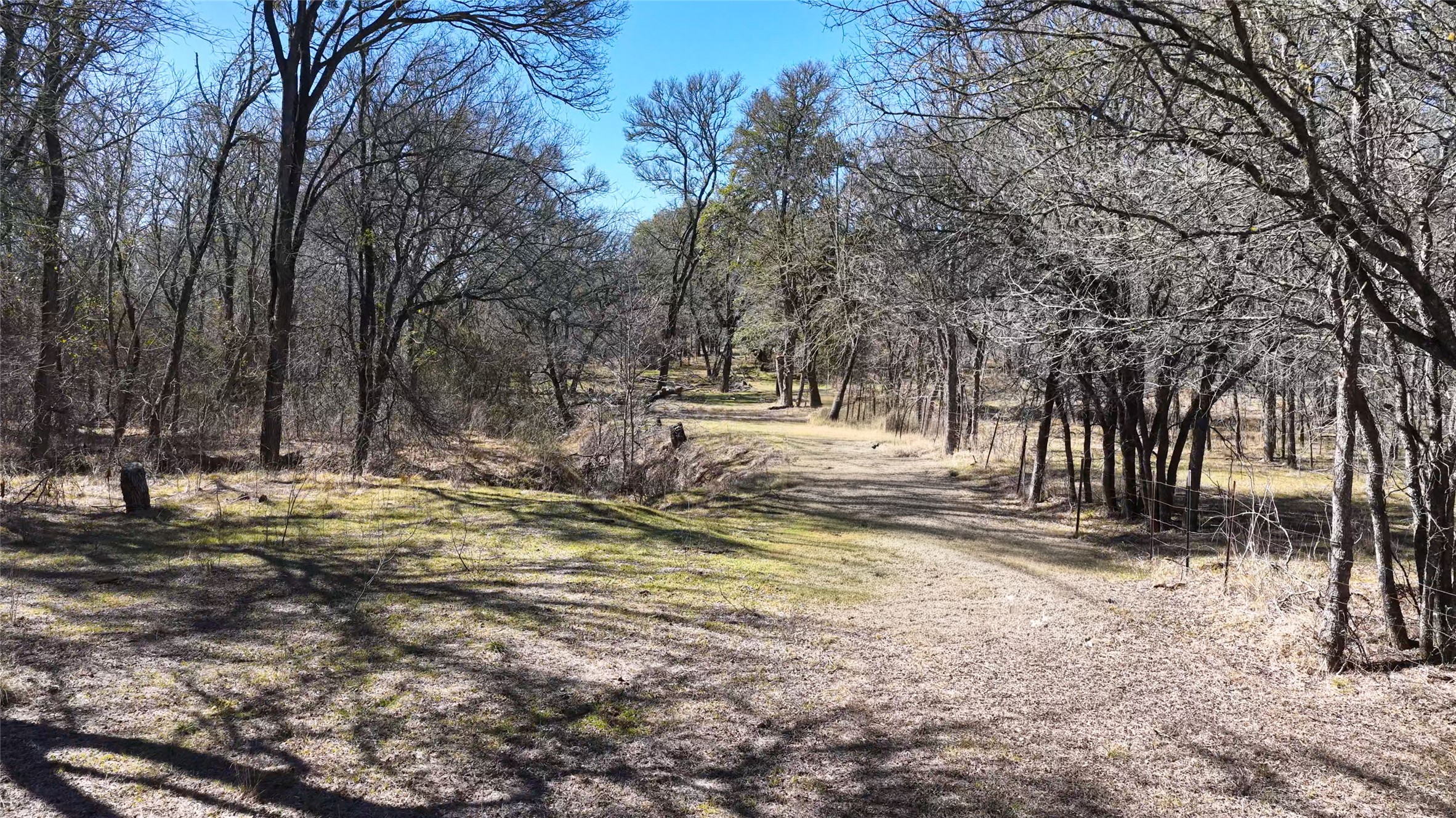 Tbd Lytton Lane Dale, TX 78616 - Photo 11 of 23 a view of a yard with trees