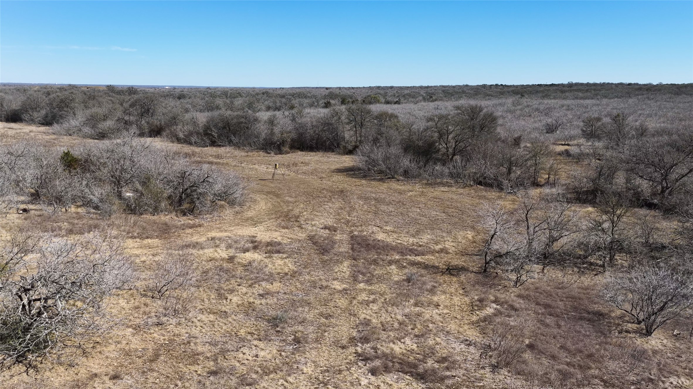 Tbd Lytton Lane Dale, TX 78616 - Photo 18 of 23 a view of a dry yard