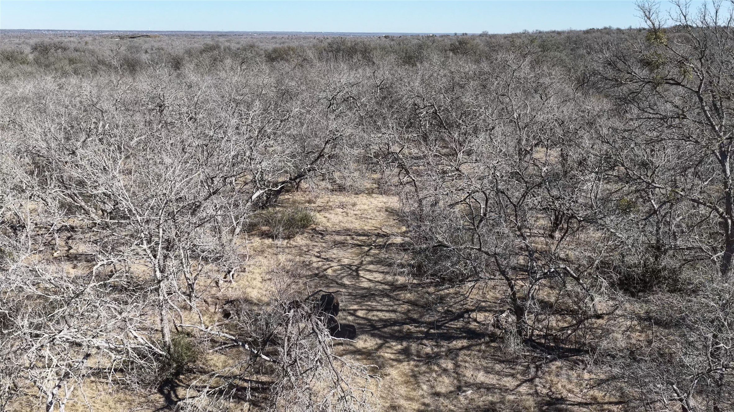 Tbd Lytton Lane Dale, TX 78616 - Photo 21 of 23 a view of a dry field