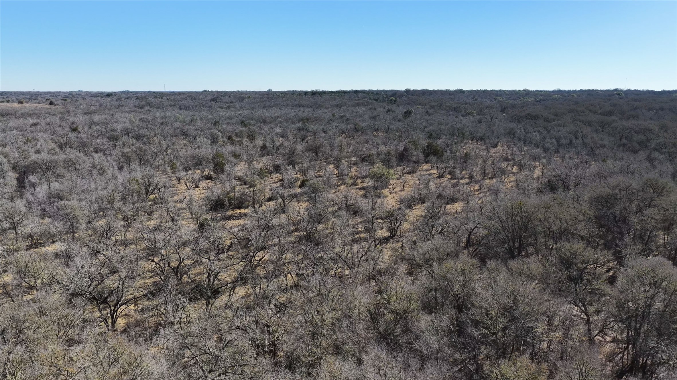 Tbd Lytton Lane Dale, TX 78616 - Photo 23 of 23 a view of a dry yard