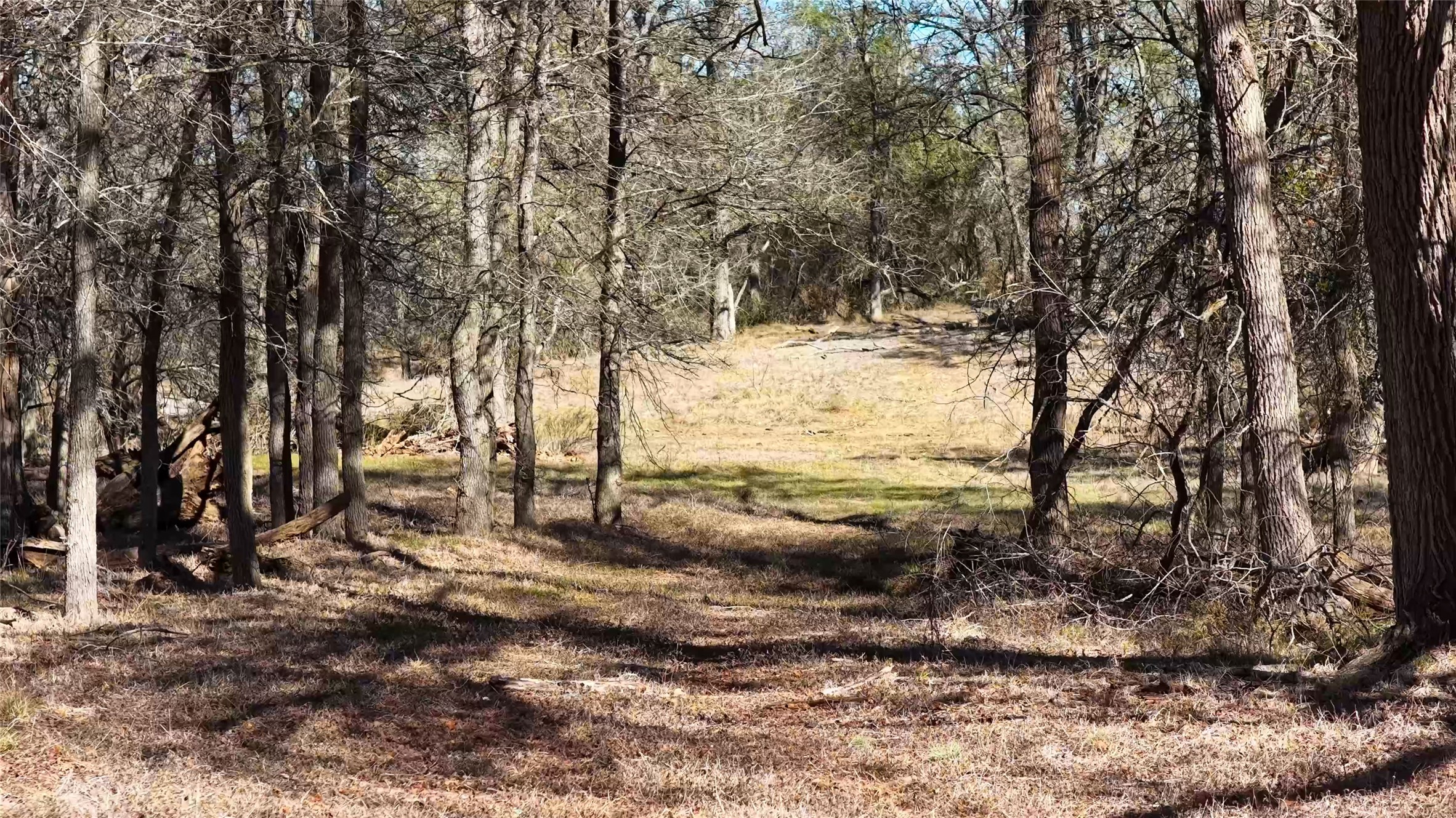 Tbd Lytton Lane Dale, TX 78616 - Photo 3 of 23 a view of a yard with trees