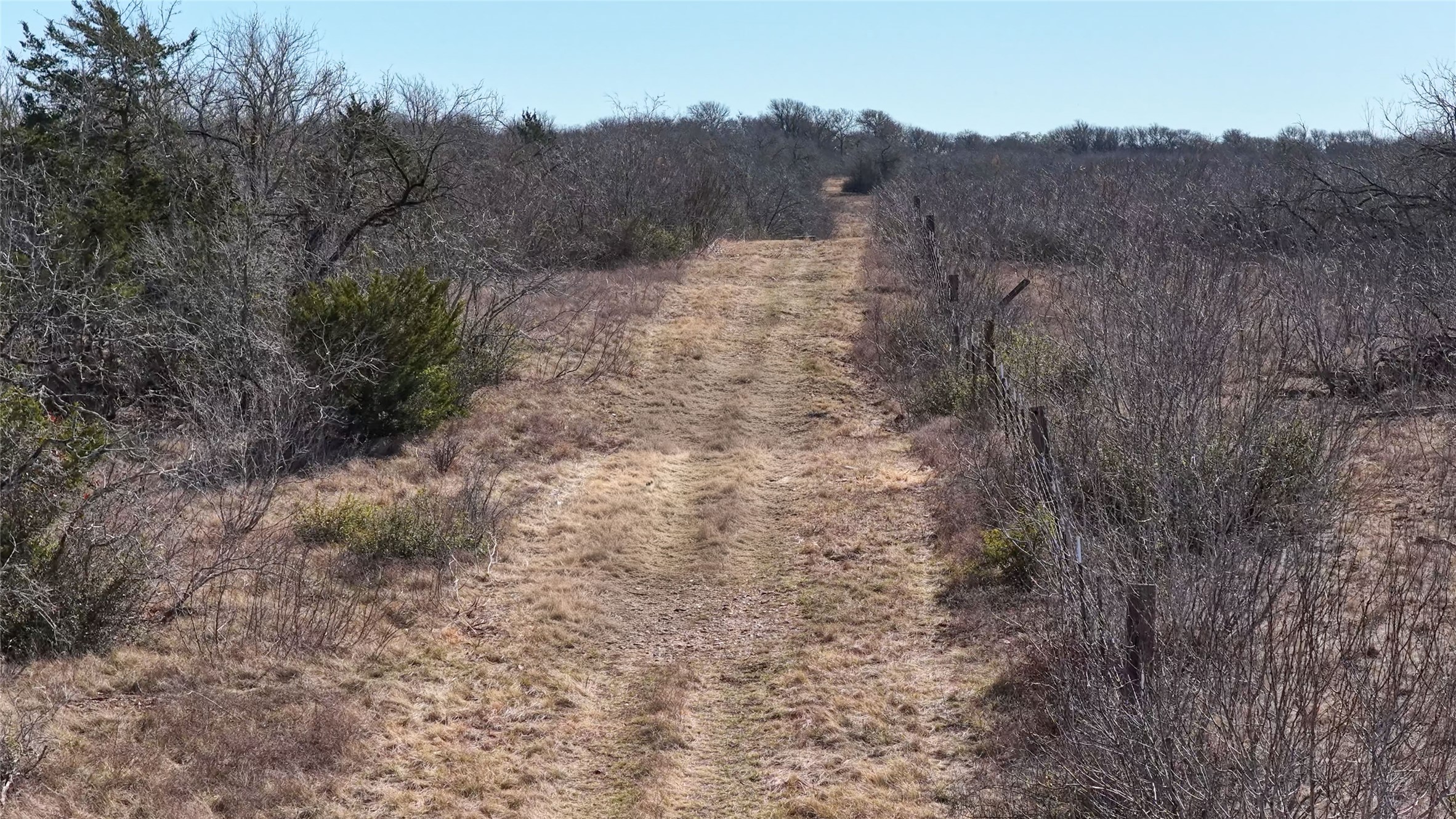 Tbd Lytton Lane Dale, TX 78616 - Photo 6 of 23