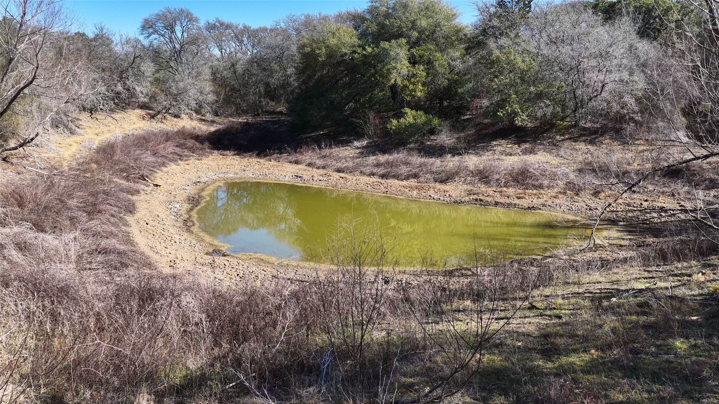 Tbd Lytton Lane Dale, TX 78616 - Photo 7 of 23 a view of a swimming pool with a yard