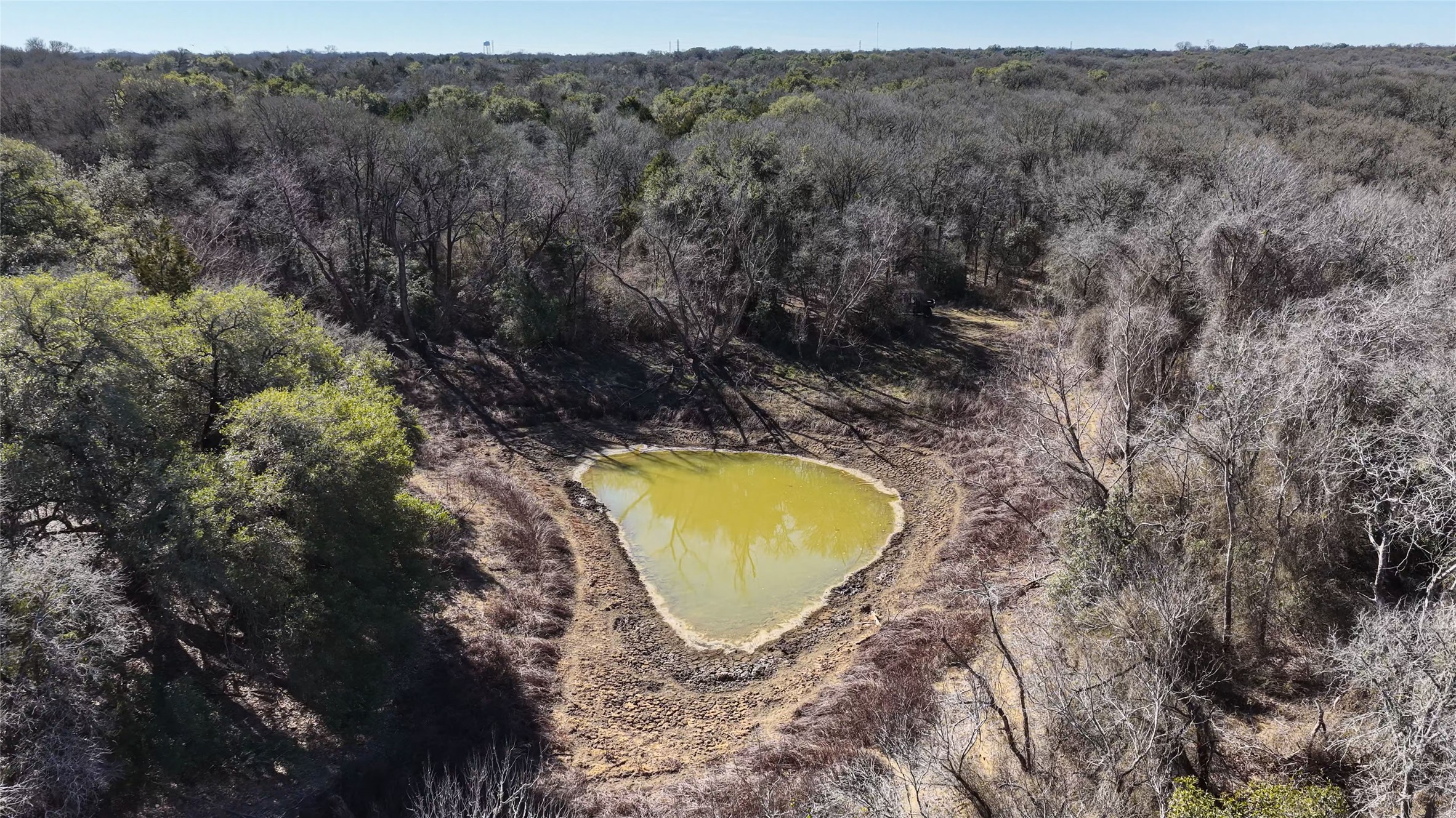 Tbd Lytton Lane Dale, TX 78616 - Photo 8 of 23 a view of a swimming pool and trees in the background