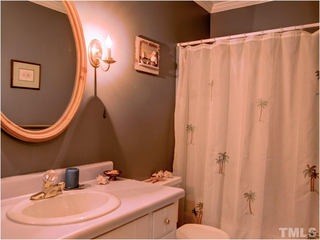 2016 Travianna Court Raleigh, NC 27609 - Photo 13 of 19 a bathroom with a sink a toilet and a mirror
