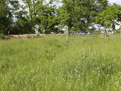 0 Plum Lick Road Paris, KY 40361 - Photo 2 of 3 Photo 2