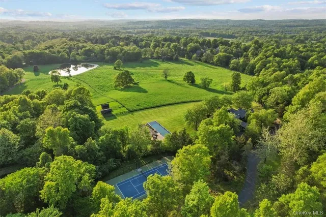 a view of a lush green forest with a lake