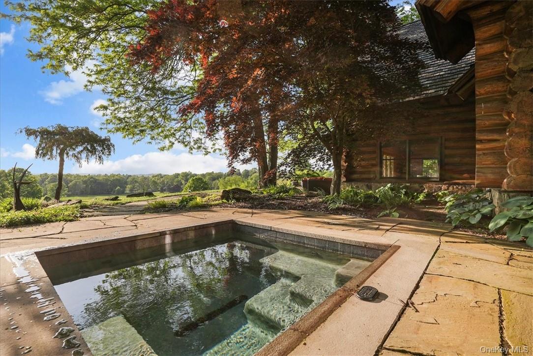 101 Mountain Lodge Road Washingtonville, NY 10992 - Photo 13 of 26 a view of a swimming pool with a patio