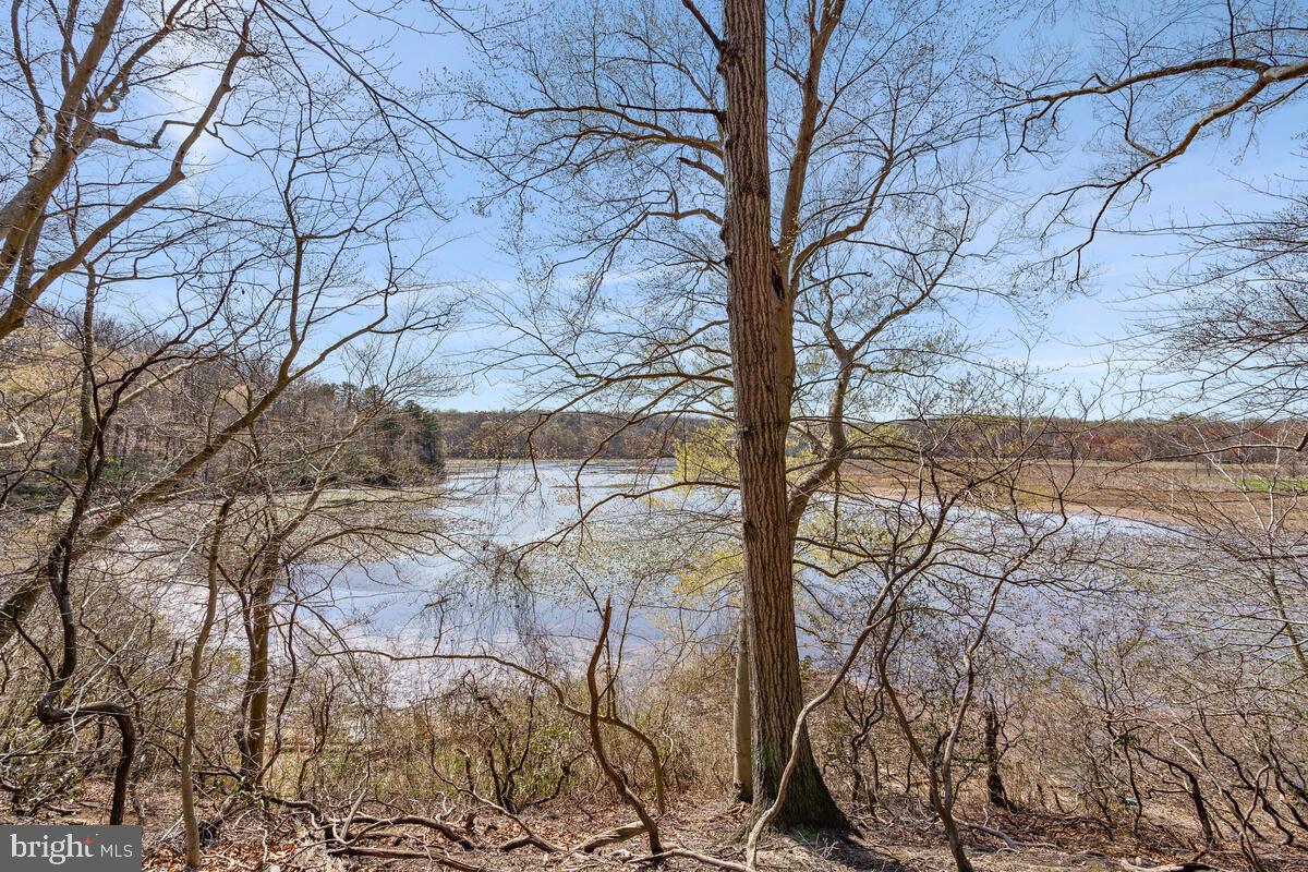 3352 Yellow Flower Road Laurel, MD 20724 - Photo 51 of 58 Gallery Image 51