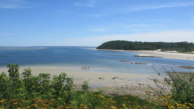a view of beach and ocean