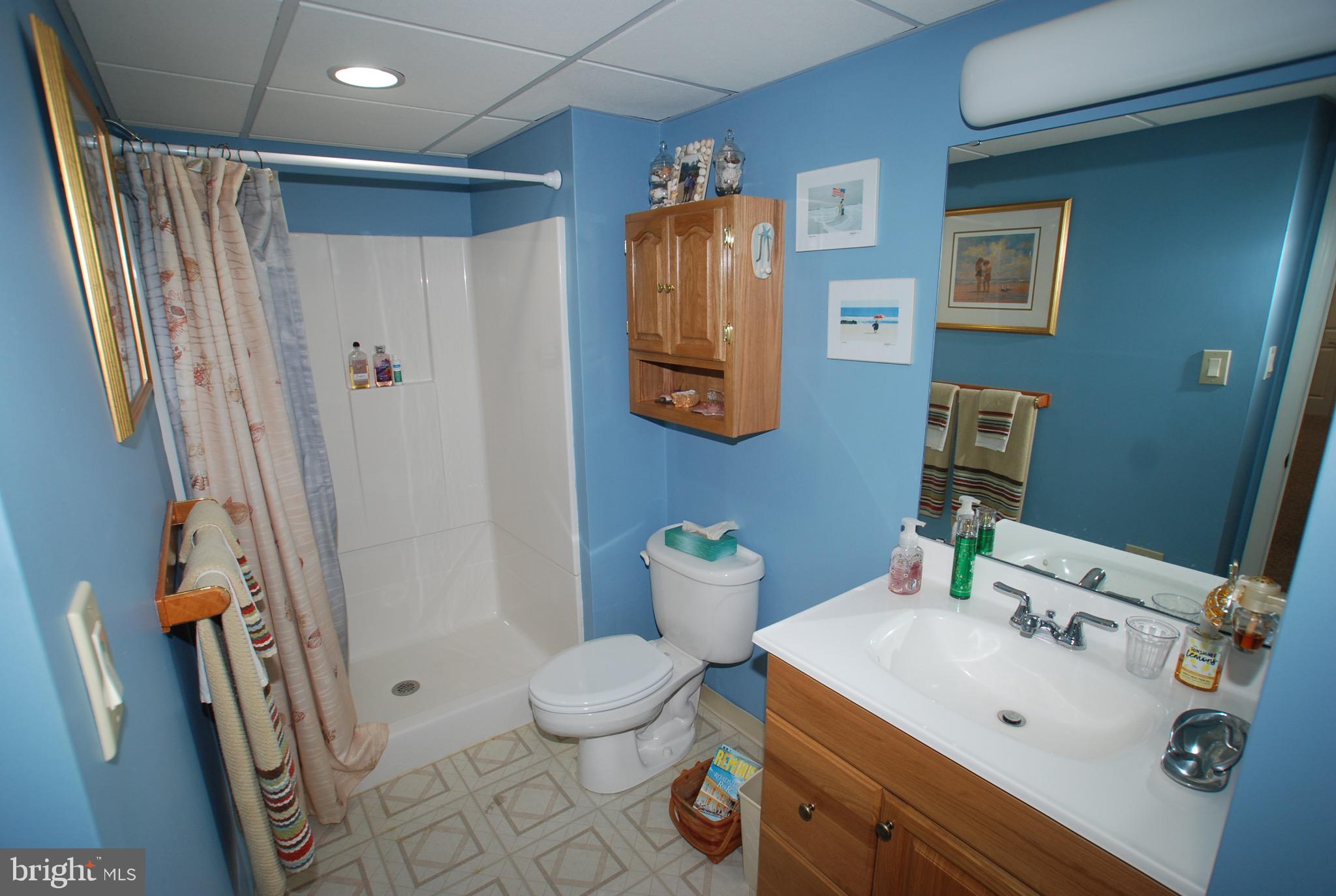 2102 Centennial Station Warminster, PA 18974 - Photo 19 of 68 Convenient Basement Full Bath