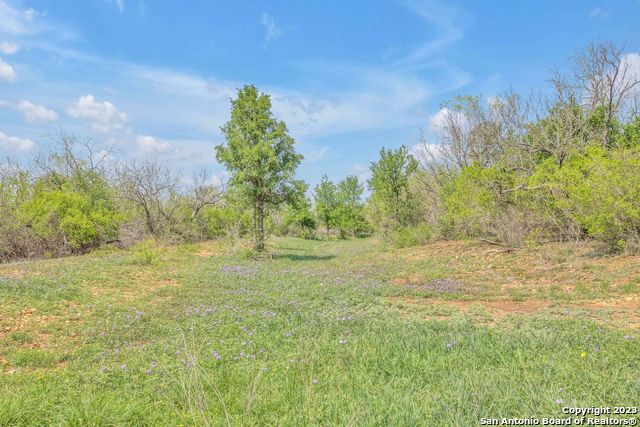 16547 East Gable Road St. Hedwig, TX 78152 - Photo 16 of 38 a view of yard with green space