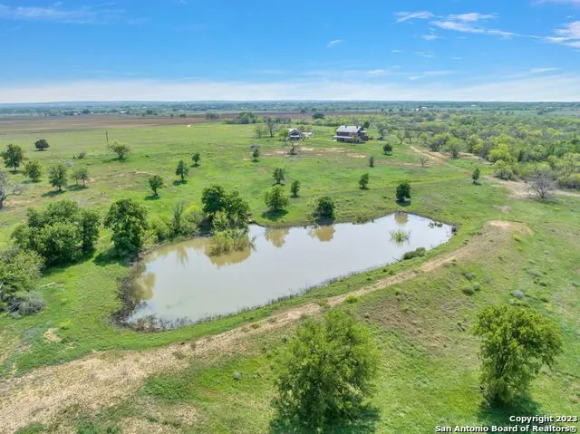 a view of a yard with plants and a large tree