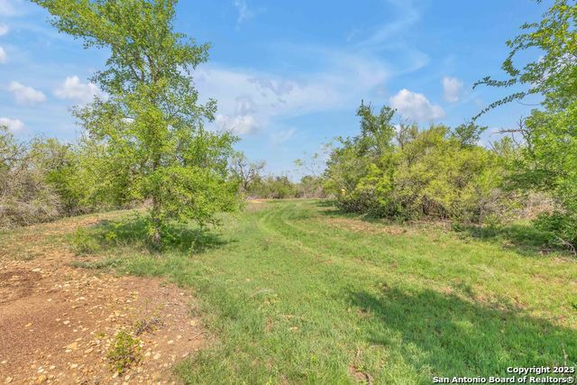 16547 East Gable Road St. Hedwig, TX 78152 - Photo 7 of 38 a view of a yard with plants and a large tree
