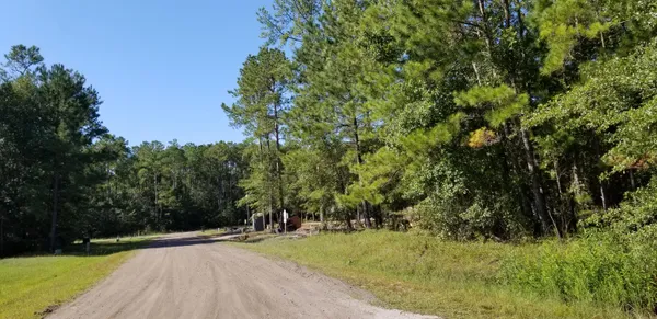 $30,000 | 0 Watershed Court, Walterboro, SC 29488