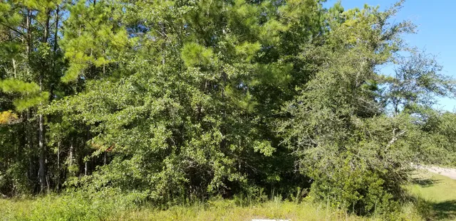 $30,000 | 0 Watershed Court, Walterboro, SC 29488