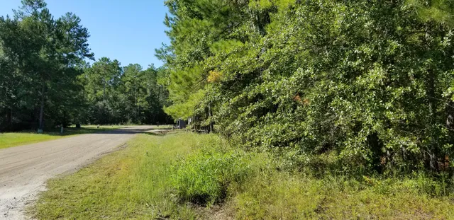 $30,000 | 0 Watershed Court, Walterboro, SC 29488