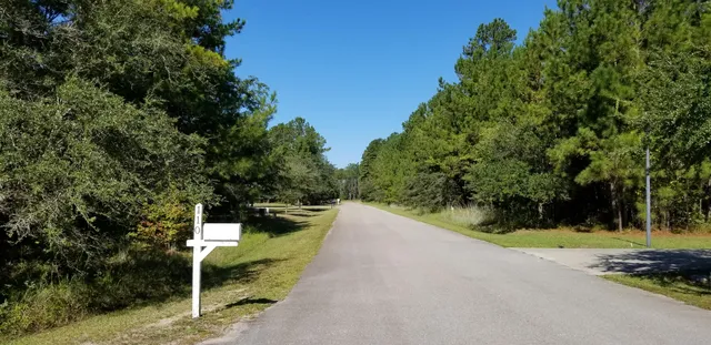 $30,000 | 0 Watershed Court, Walterboro, SC 29488