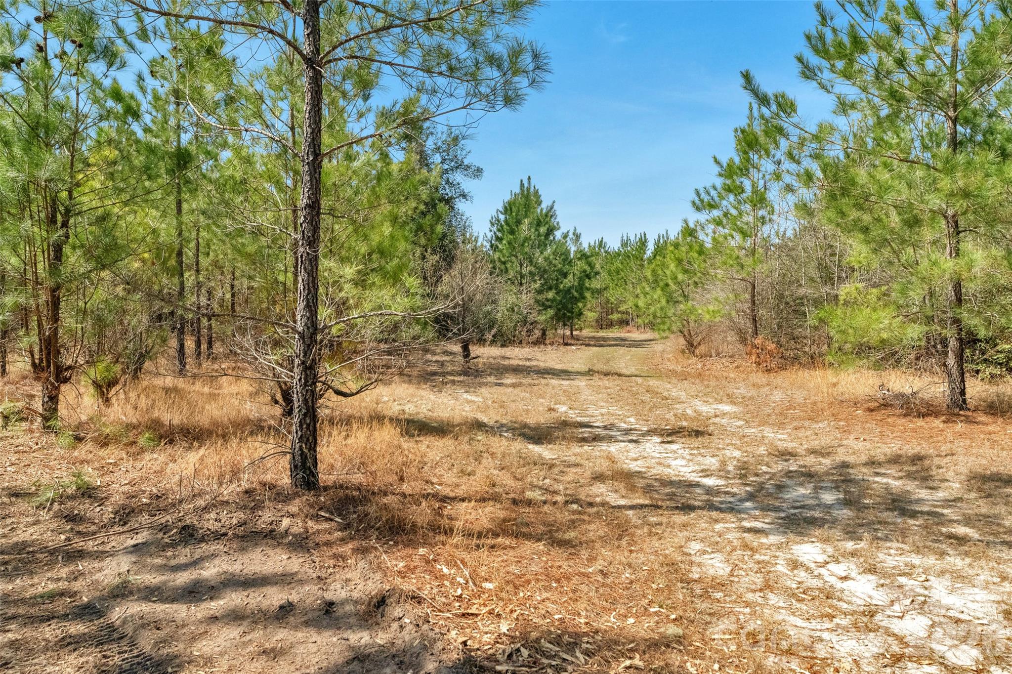 931 Charlie Johnson Road, Unit 2 Kershaw, SC 29067 - Photo 33 of 35